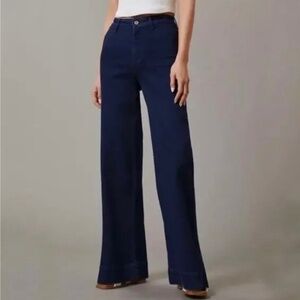 Anthropologie Pilcro The Skipper High-Rise Wide Leg Jeans SZ 30